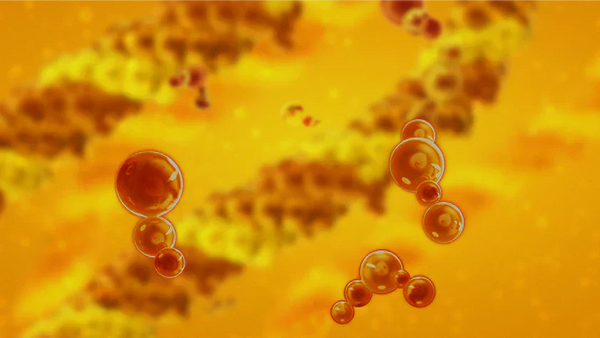 Das Potenzial von Nextida GC